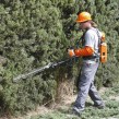 Taille-haies sur perche sur batterie