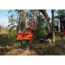 Sécateur forestier