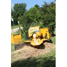 Raboteuse de souches 75 cv sur chenilles